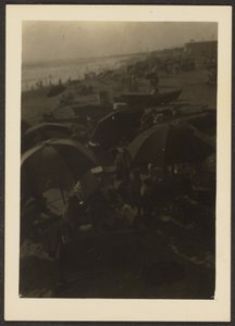 Beach Scene