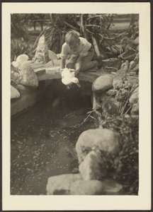 Boy and Duck
