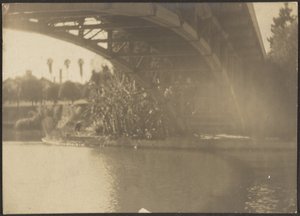 Bridge over River