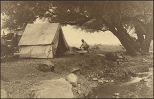 Camping Scene