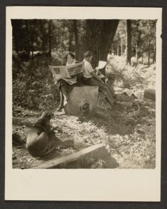 [Couple Reading Newspaper in Woods] by Louis Fleckenstein