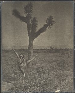Dancer at Joshua Tree by Louis Fleckenstein