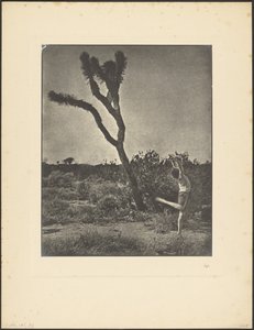 Dancer at Joshua Tree by Louis Fleckenstein