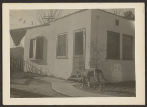 Dog near House by Louis Fleckenstein