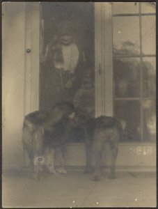 Dogs at Door by Louis Fleckenstein