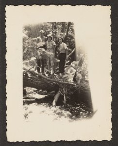 Figures in Woods by Louis Fleckenstein