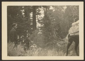 Figures in a Woodsy Landscape