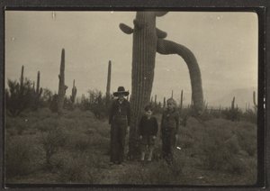 [Figures with Cactus]
