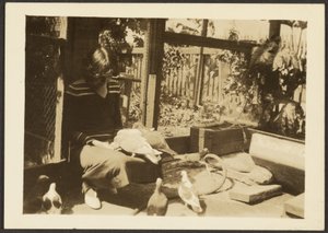 Florence and Pigeons by Louis Fleckenstein