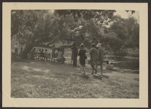 Group in Park
