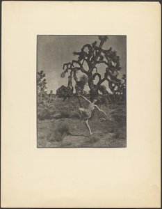 Inspiration of the Dance