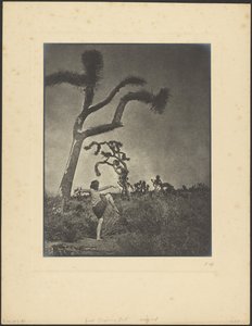 Just Stepping Out by Louis Fleckenstein