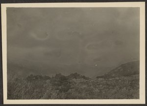 Landscape by Louis Fleckenstein