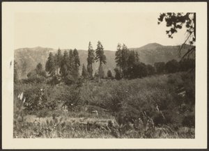 Landscape by Louis Fleckenstein