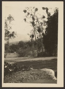 Landscape