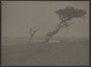 Landscape by Louis Fleckenstein