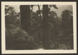 Landscape by Louis Fleckenstein