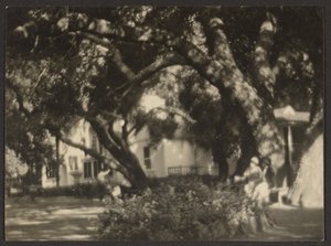 Landscape by Louis Fleckenstein