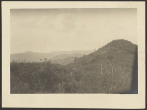 Landscape by Louis Fleckenstein