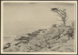 Landscape by Louis Fleckenstein