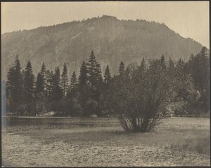 Landscape with Rock Cliffs