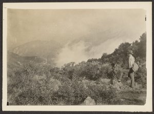 Man in Landscape