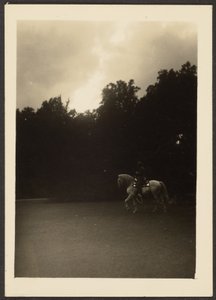 Man on Horseback with Dark Trees and Light Sky