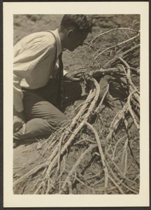 Man with Roots by Louis Fleckenstein