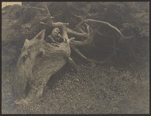 Mrs. Fleckenstein Leaning on Large Fallen Tree by Louis Fleckenstein