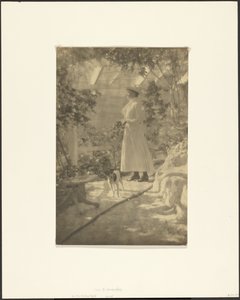On the Trellised Walk by Louis Fleckenstein