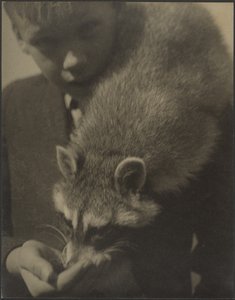 Portrait of a Boy Feeding a Raccoon