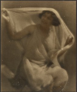 Portrait of a Woman Wearing Veils by Louis Fleckenstein