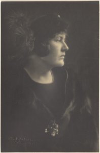 Portrait of a Woman in Fur Cape by Louis Fleckenstein