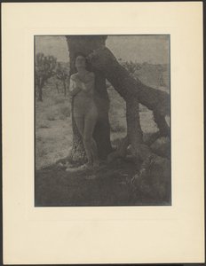 Spirit of the Joshua by Louis Fleckenstein