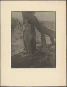 Spirit of the Joshua