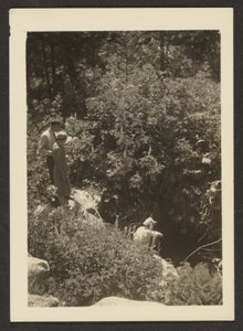 Spring in Fern Valley by Louis Fleckenstein