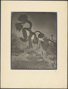 The Clownish Joshua by Louis Fleckenstein