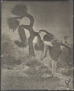 The Clownish Joshua by Louis Fleckenstein
