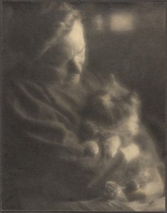 The Pet Angora