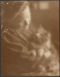 The Pet Angora by Louis Fleckenstein