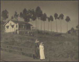 The White Cottage by Louis Fleckenstein