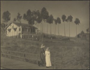 The White Cottage by Louis Fleckenstein