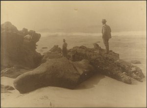 Three Men Fishing from Rocks on Beach by Louis Fleckenstein