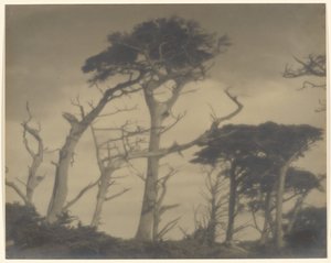 Twin Brothers - Carmel by Louis Fleckenstein