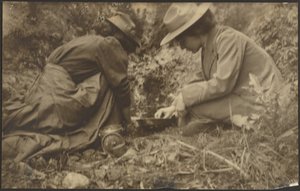 Two Women Working in a Garden by Louis Fleckenstein