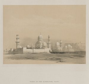 Tombs of the Memlooks, Cairo, 1849