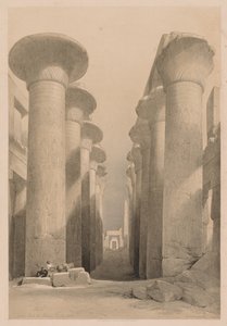 Egypt and Nubia: Volume I - No. 20, Great Hall at Karnak, Thebes