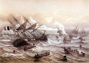 Whaling in Newfoundland. Painting by Lebreton. Early 19th century by Louis Le Breton
