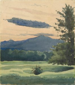 Green Meadow