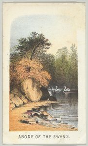 Abode of the Swans, from the series, Views in Central Park, New York, Part 2 by Louis Prang